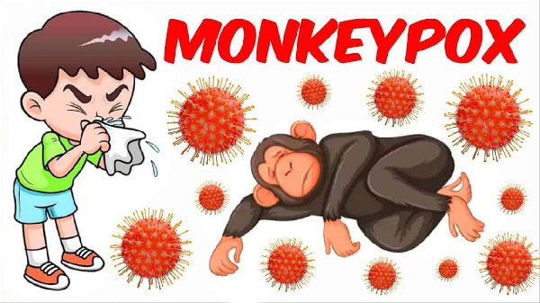Plus de 700 cas de monkeypox dans le monde, 21 aux États-Unis: CDC
