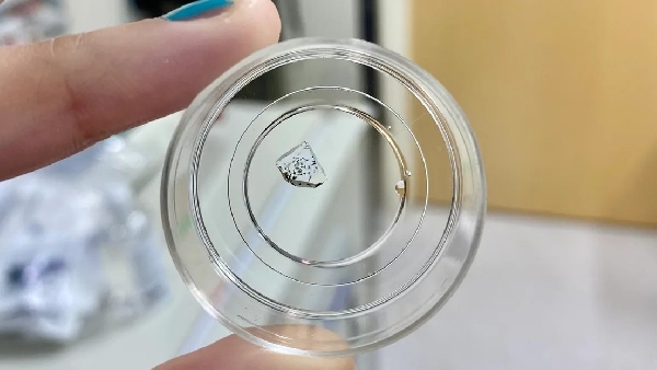 Une nouvelle technique de microscopie permet de voir les cellules à l