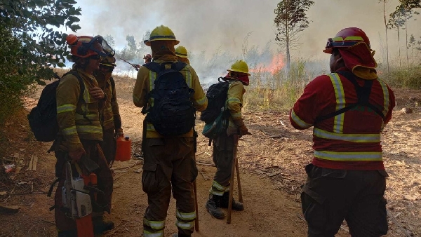 Le Chili déclare  contrôlé  un incendie de forêt qui a touché les communes de Biobío pendant 25 jours
