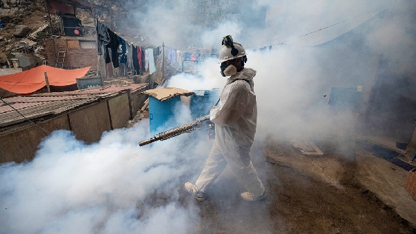 Record de décès et saturation des hôpitaux : la dengue provoque une urgence sanitaire sans précédent au Pérou