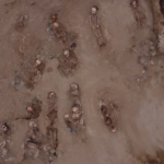Restes osseux trouvés à Huanchaco. Programme archéologique de Huanchaco