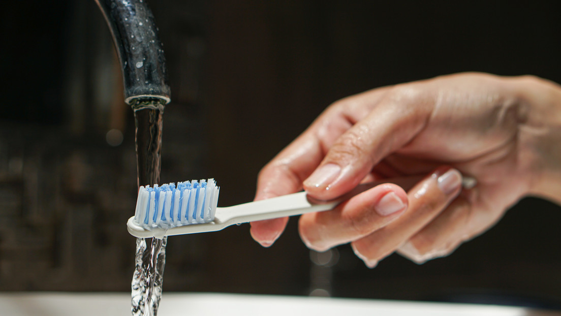 Découverte « inédite » : Des virus bactériophages jamais vus auparavant trouvés sur des brosses à dents et des pommes de douche